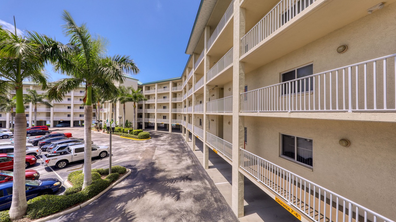 Photo of Outdoor in St. Petersburg - Clearwater