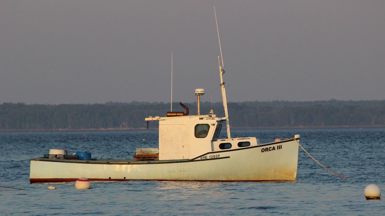 Photo of Others in Northern Bruce Peninsula