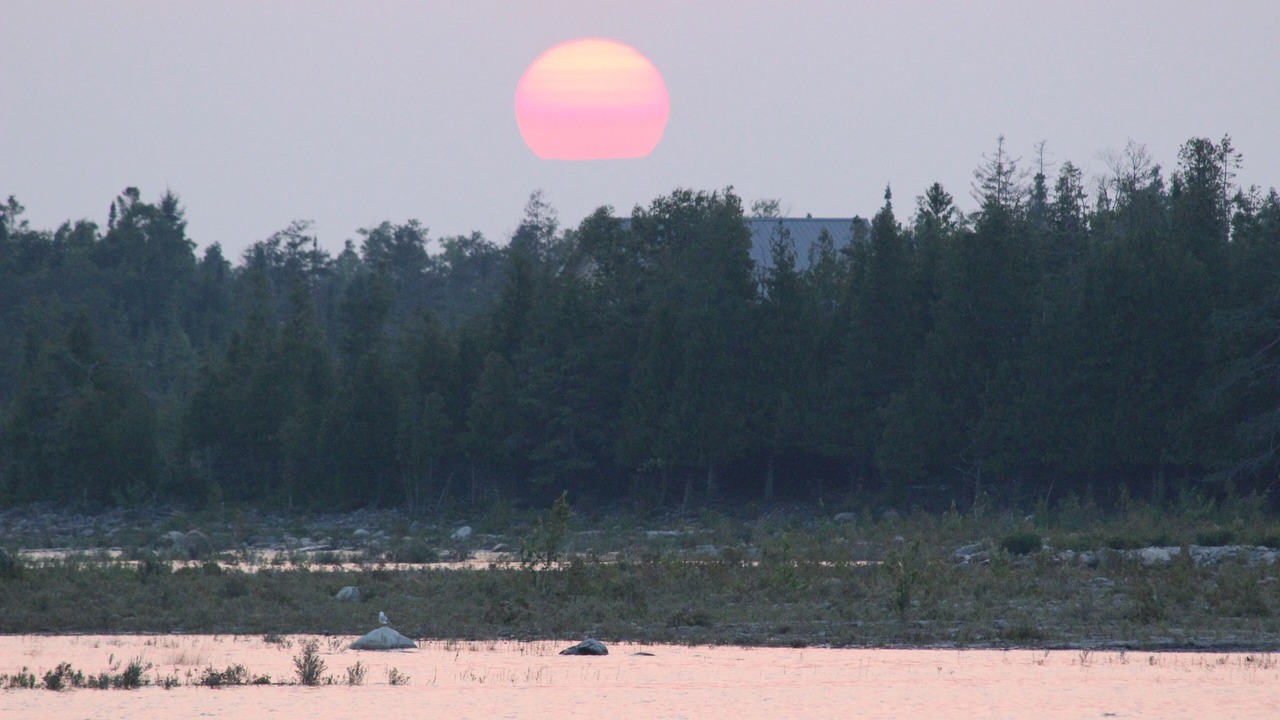 Photo of Others in Northern Bruce Peninsula