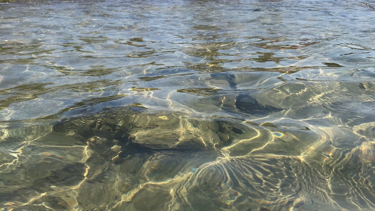 Photo of Others in Northern Bruce Peninsula