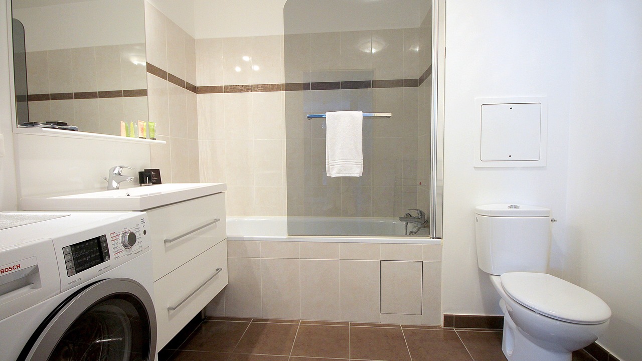 Photo of Bathroom in Serris