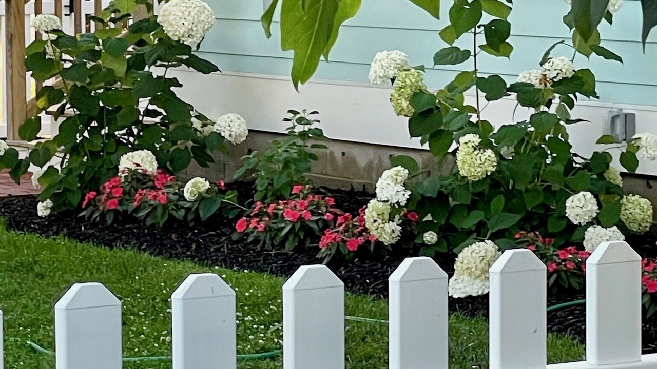 Photo of Others in Rehoboth by the Sea