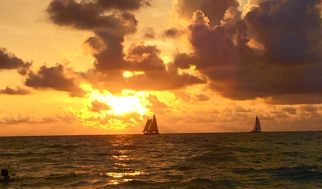 Photo of Others in Clearwater