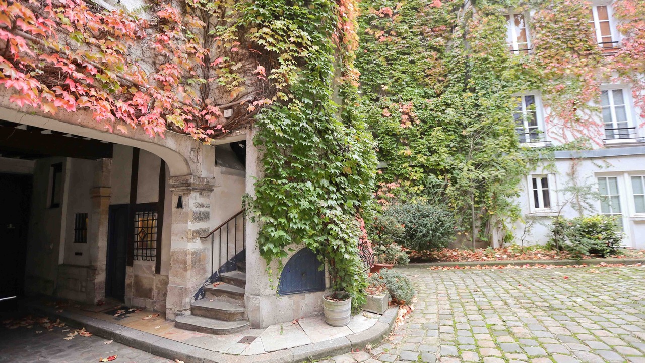 Photo of Outdoor in Notre Dame