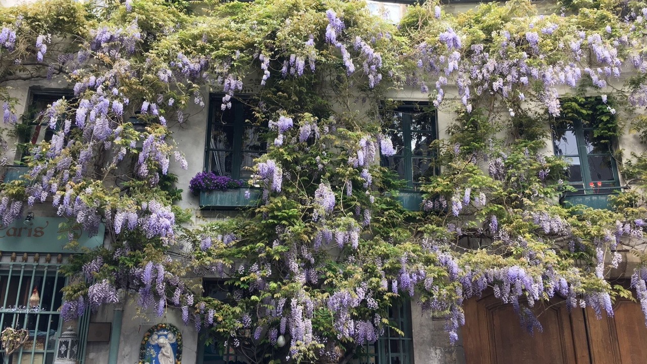 Photo of Outdoor in Notre Dame