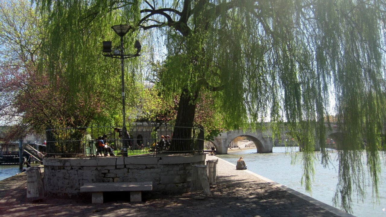 Photo of Outdoor in Notre Dame