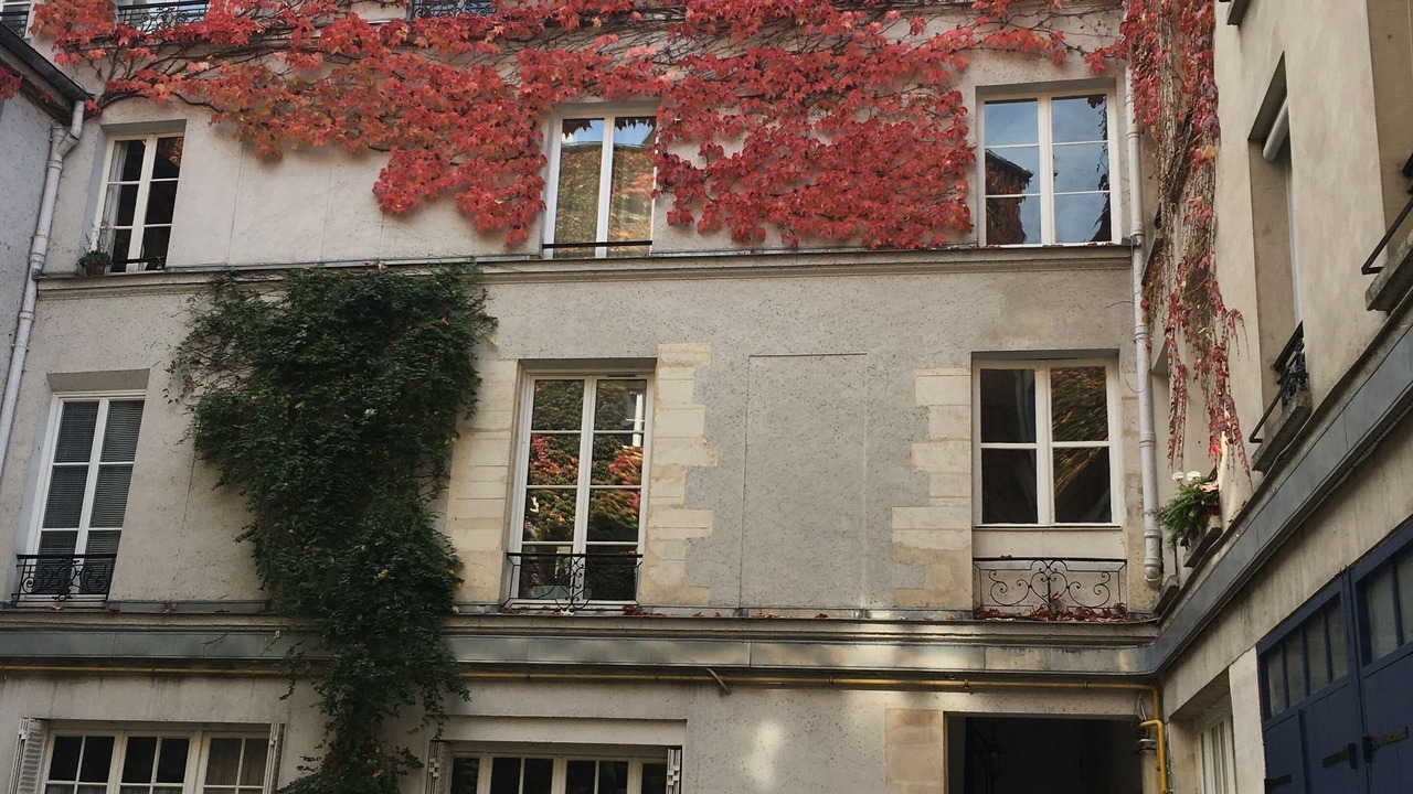 Photo of Outdoor in Notre Dame