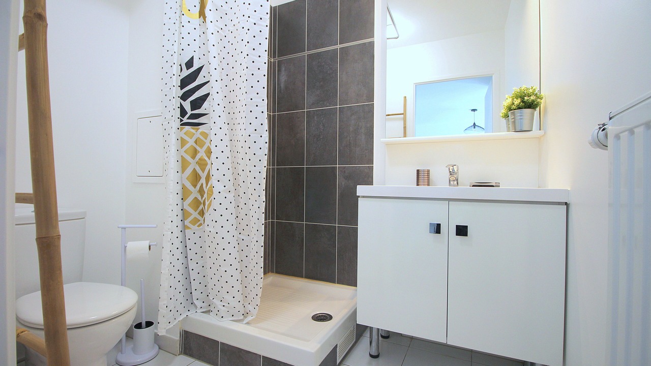 Photo of Bathroom in Serris
