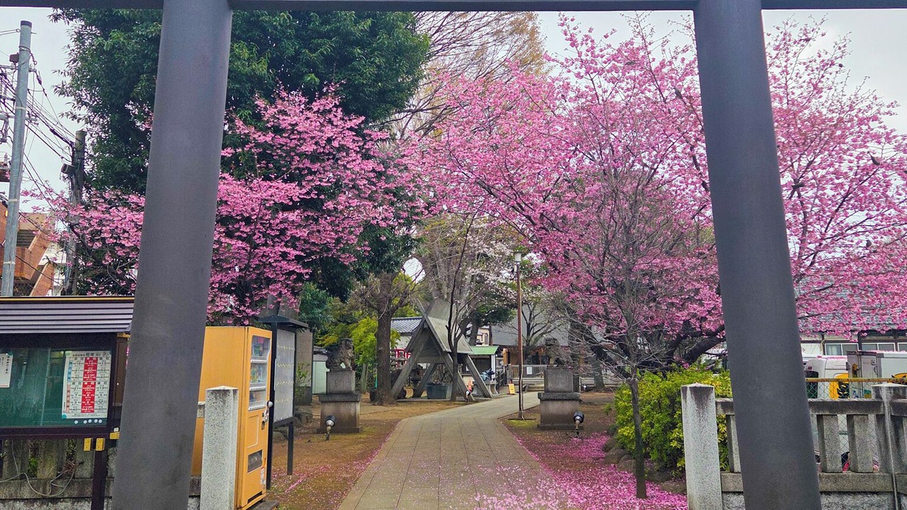 Photo of Others in Numabukuro