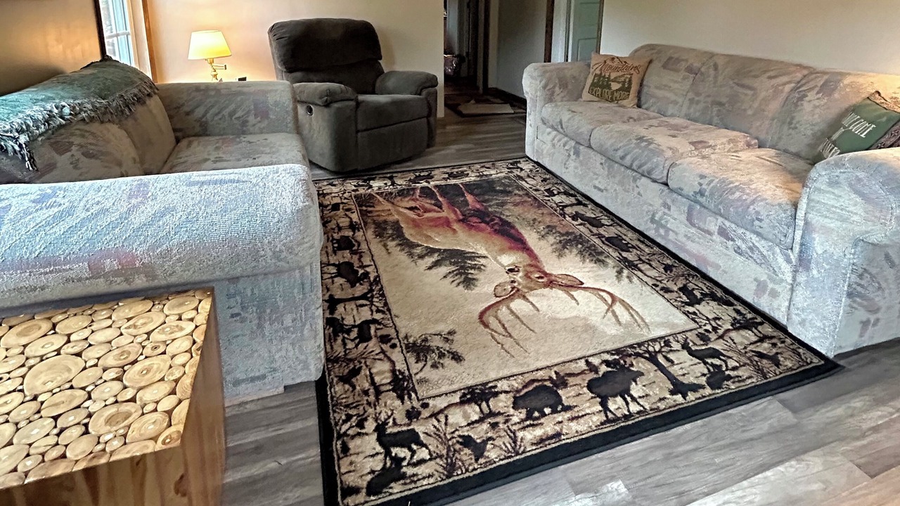 Photo of Livingroom in Renovo