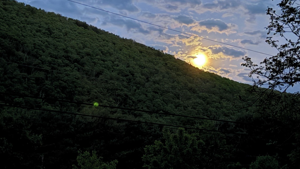 Photo of Others in Renovo