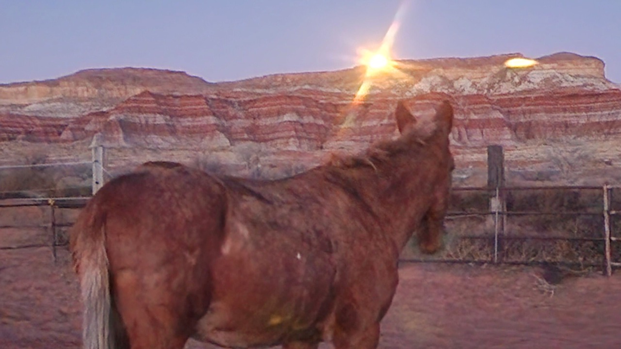Photo of Others in Kanab