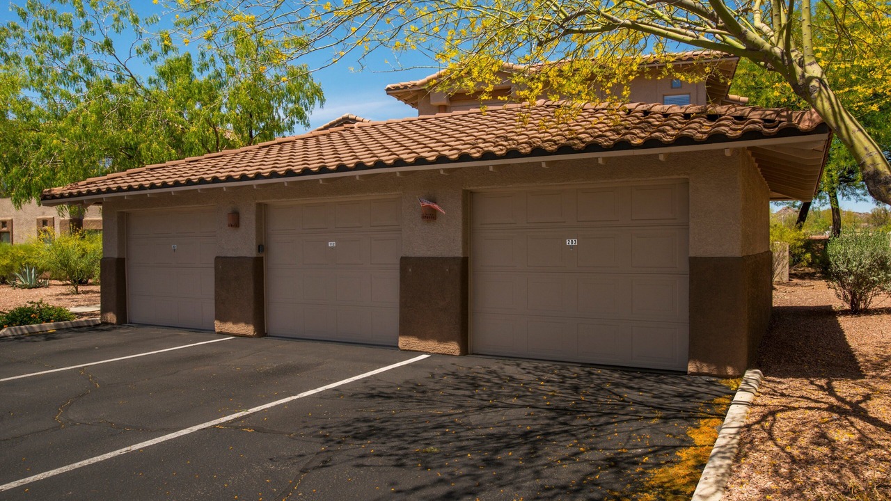 Photo of Outdoor in Rancho Vistoso