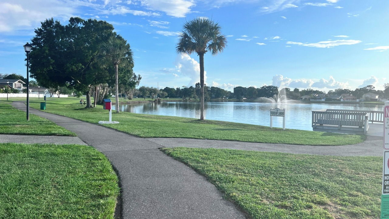 Photo of Outdoor in Carrollwood