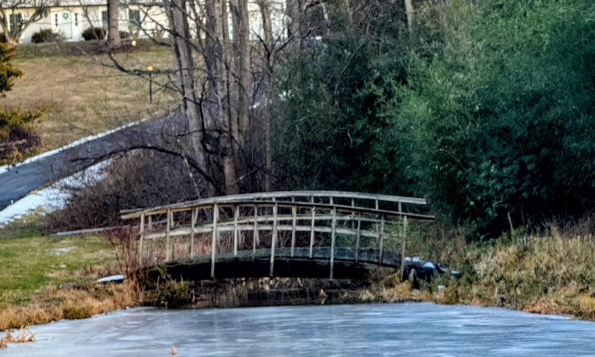 Photo of Others in Lagrangeville