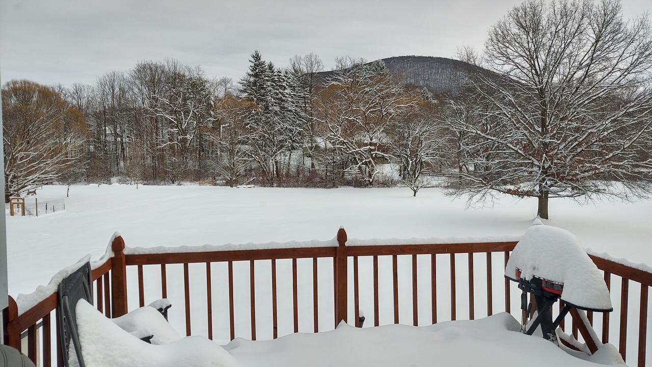Photo of Outdoor in Lemont