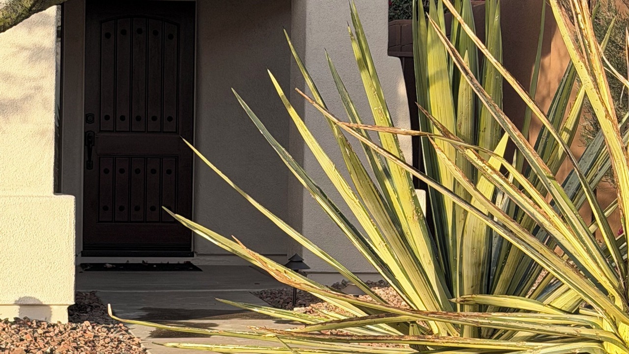 Photo of Outdoor in Anthem Country Club