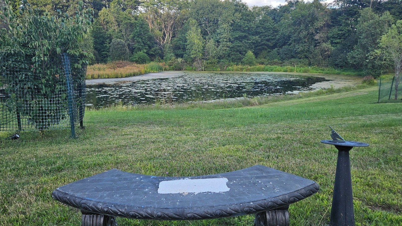 Photo of Outdoor in Campbell Hall