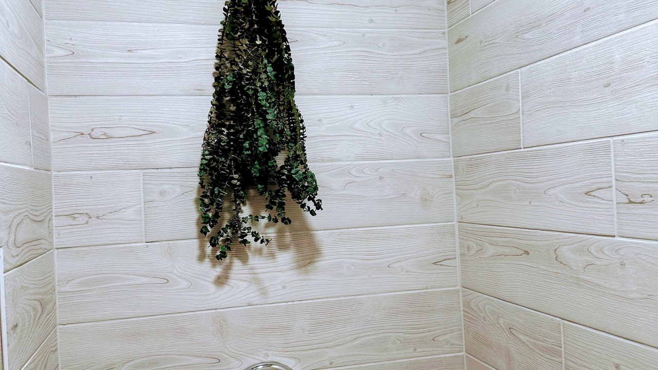 Photo of Bathroom in Springerville