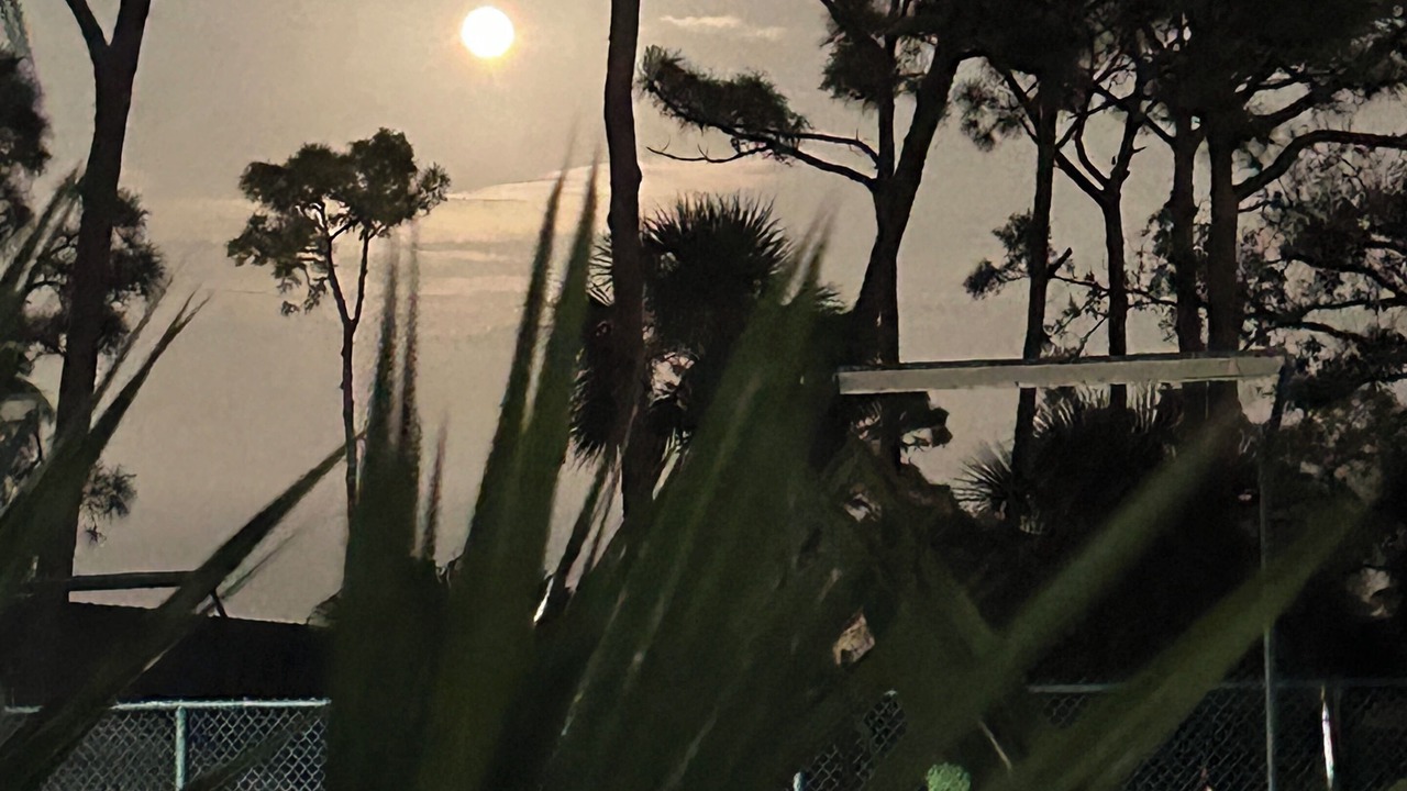 Photo of Outdoor in Sarasota