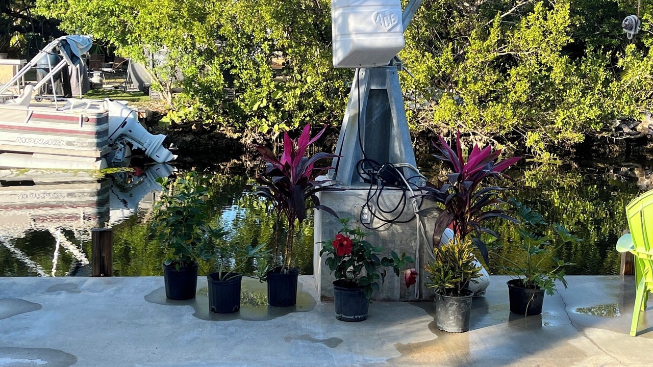 Photo of Others in Eden Pines