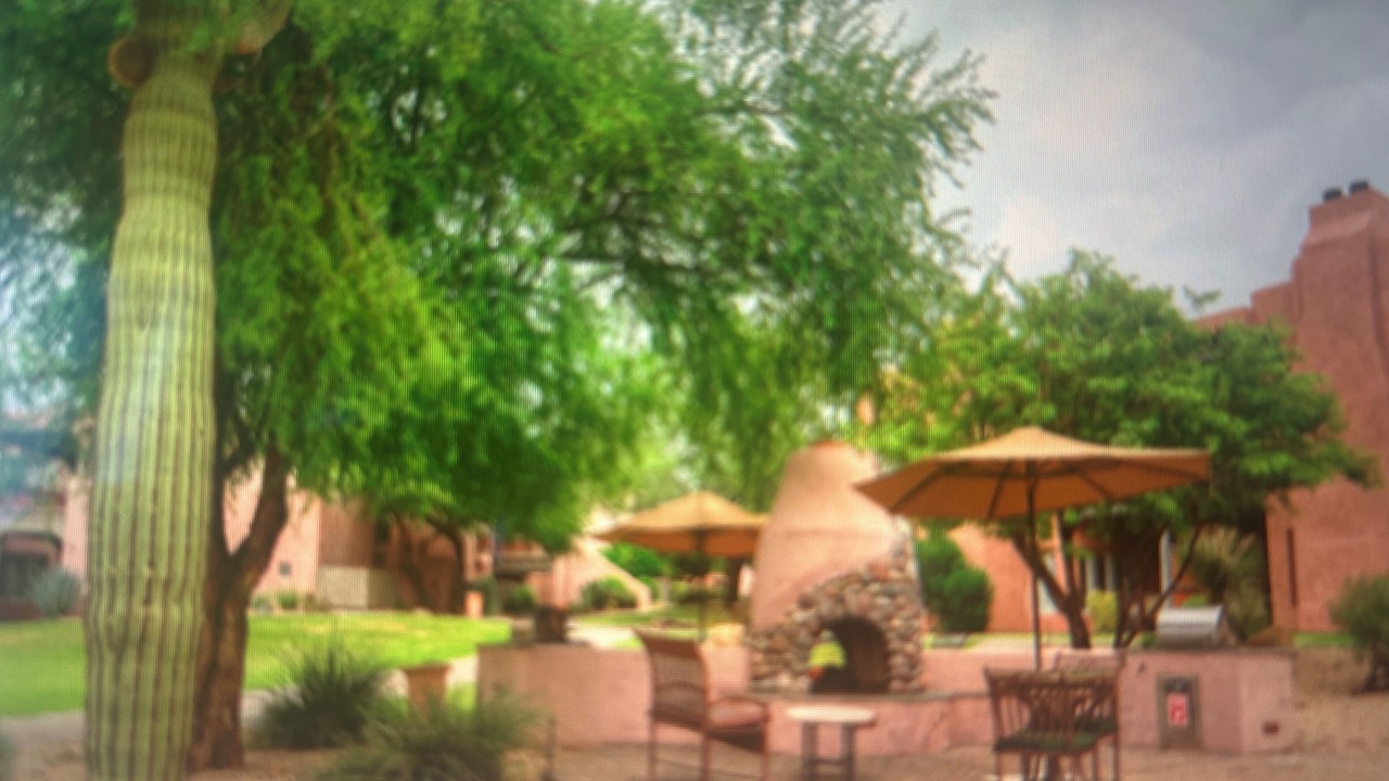 Photo of Outdoor in Miramonte