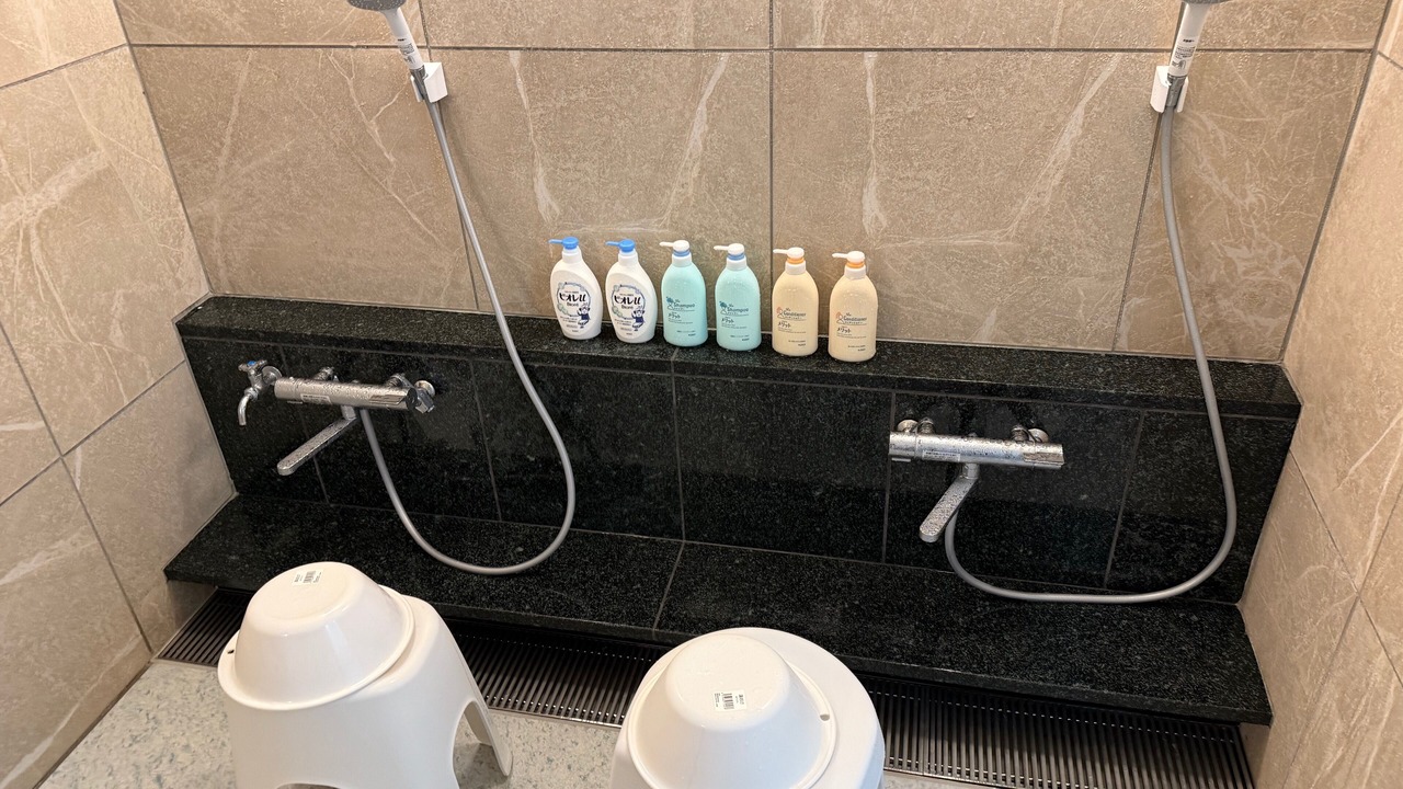 Photo of Bathroom in Yamanakako