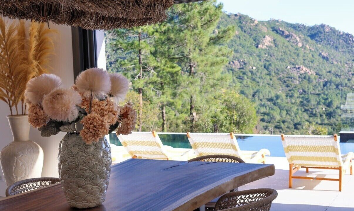 Photo of Outdoor in Zonza