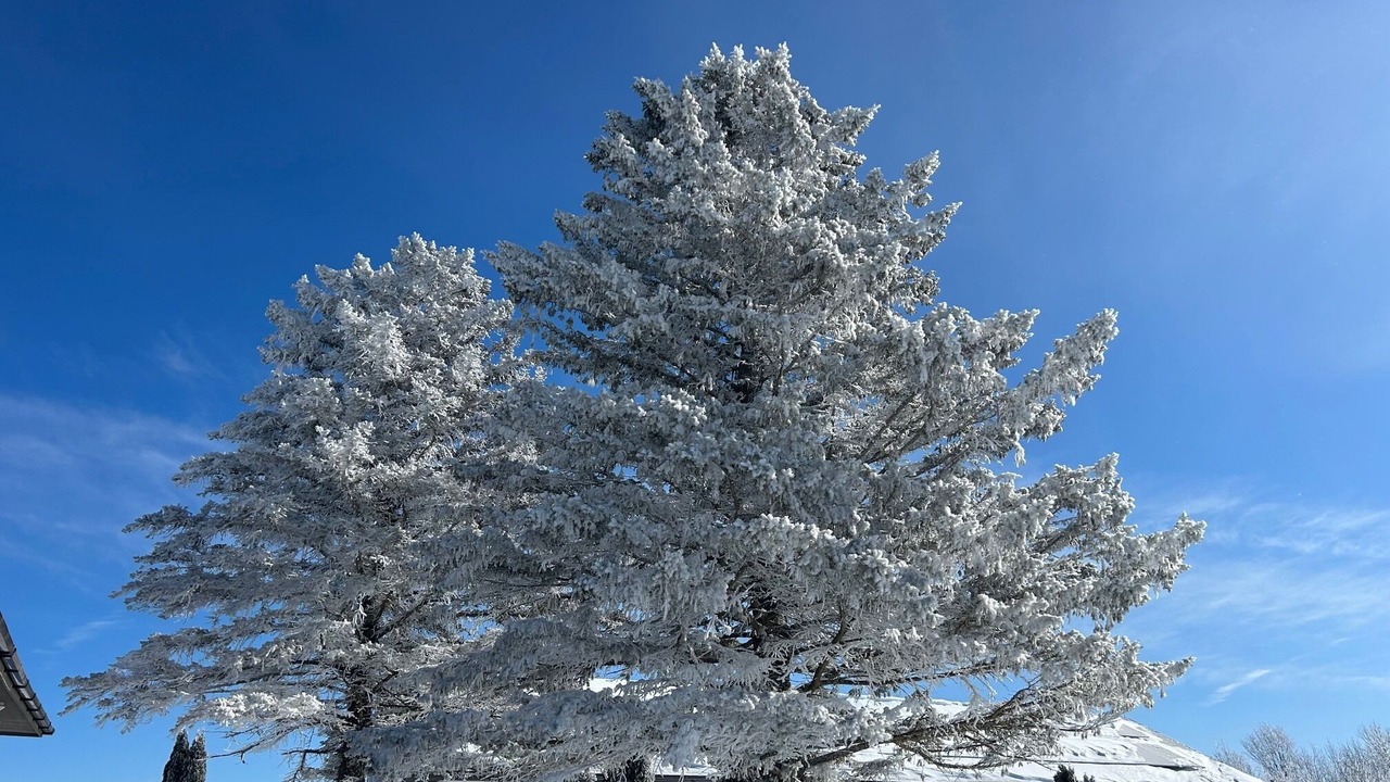Photo of Others in Cazenovia