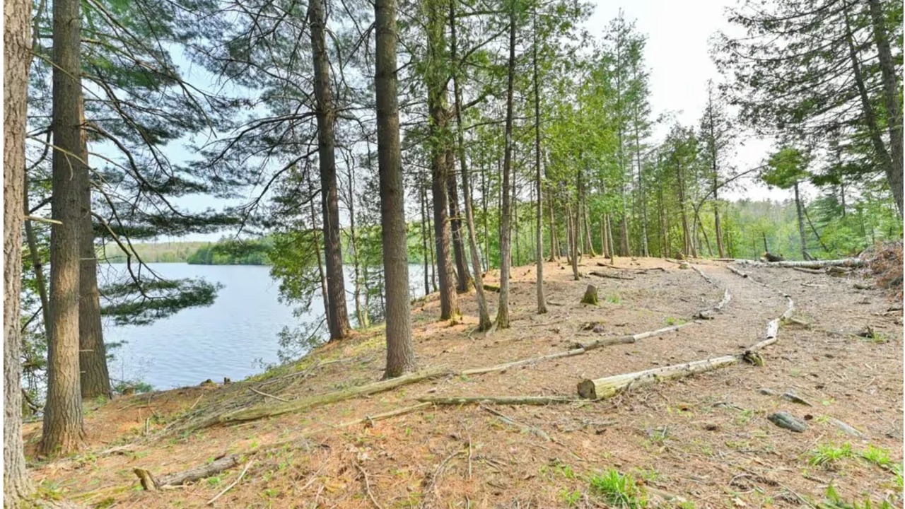 Photo of Others in North Frontenac