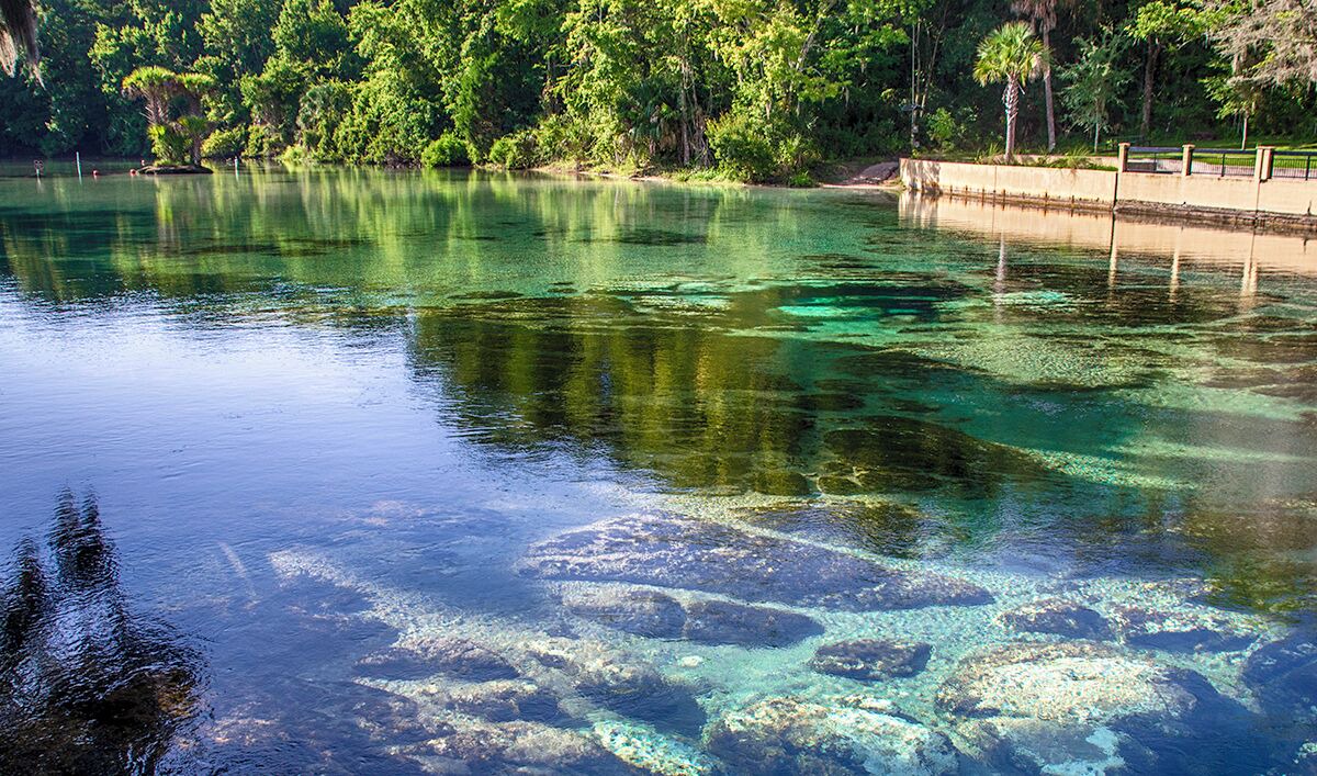 Photo of Others in Salt Springs