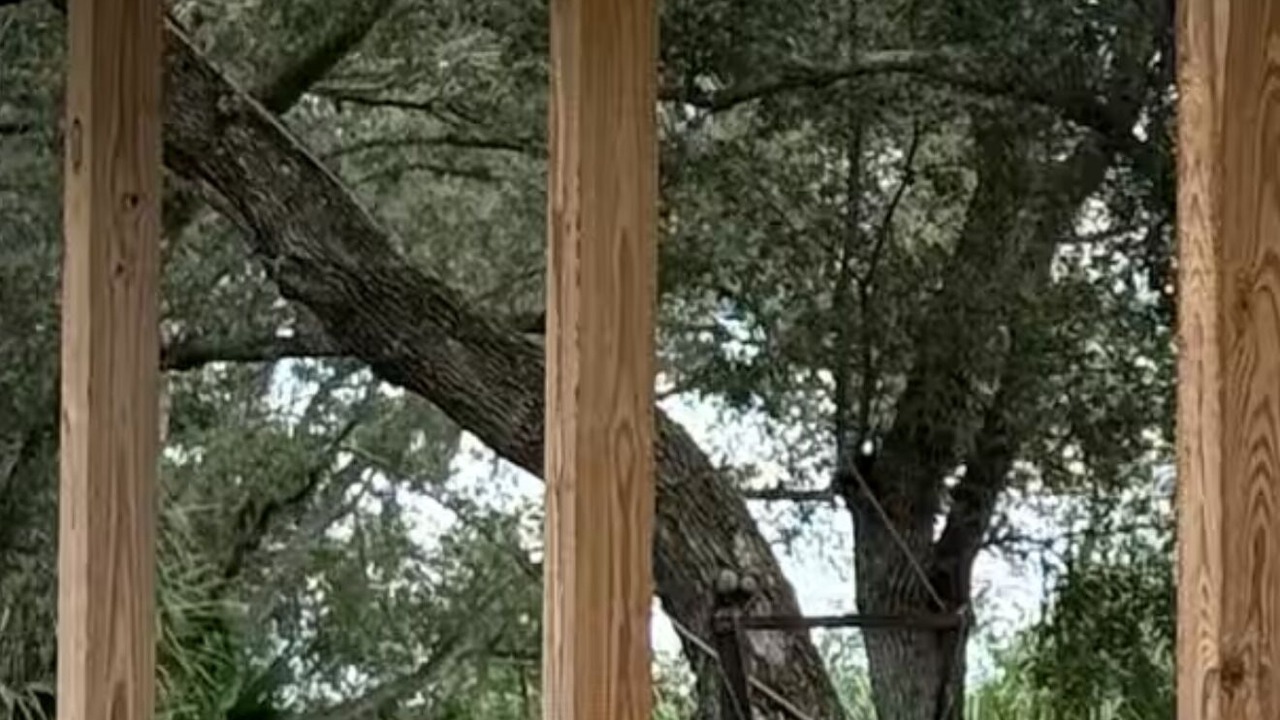 Photo of Outdoor in Indiantown