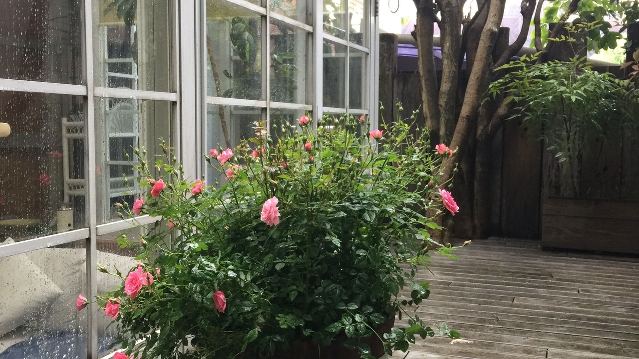 Photo of Outdoor in Akasaka