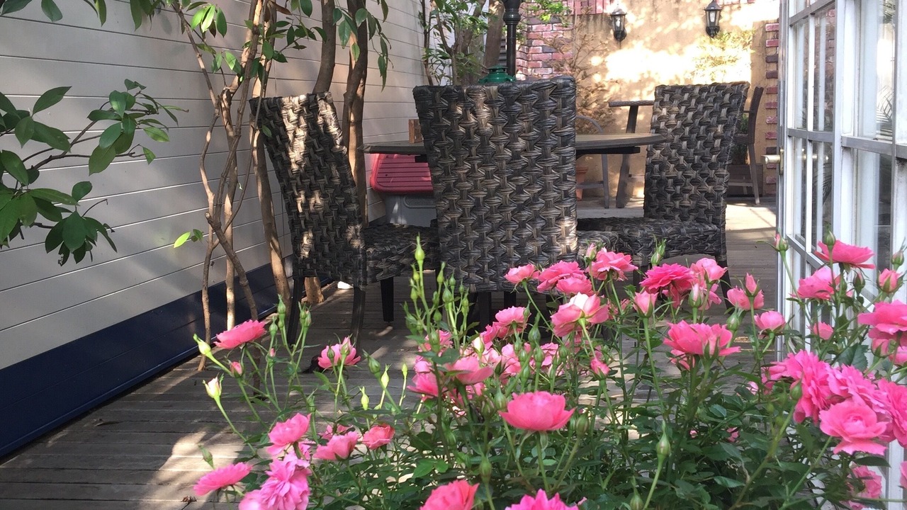 Photo of Outdoor in Akasaka
