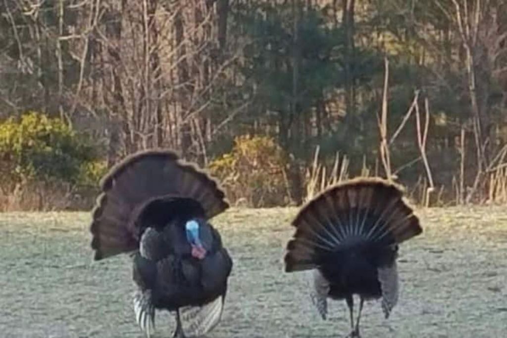 Photo of Others in Lock Haven