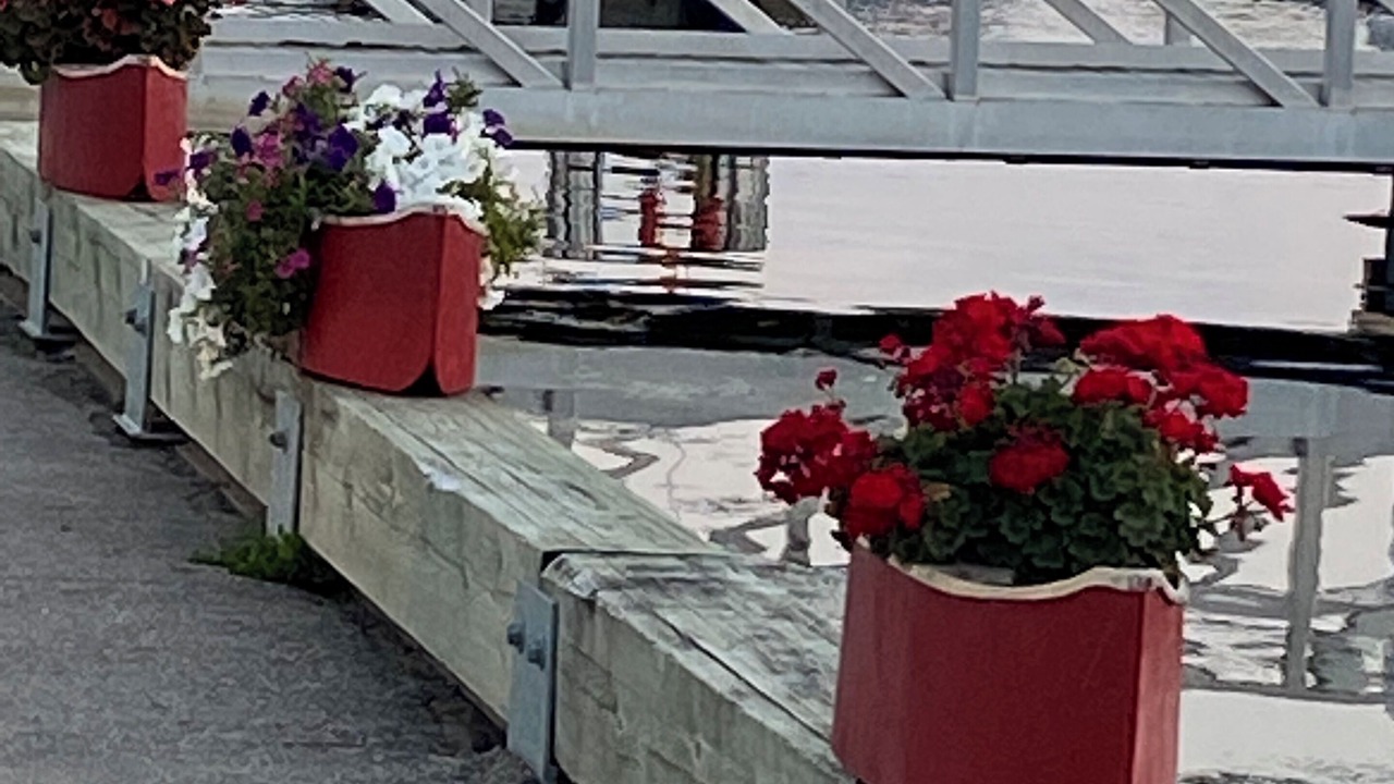 Photo of Others in Penetanguishene