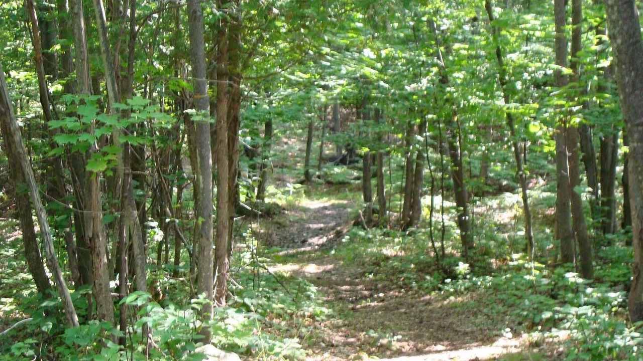 Photo of Outdoor in Lake of Bays