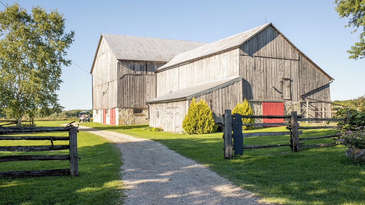 Photo of Outdoor in Grey Highlands