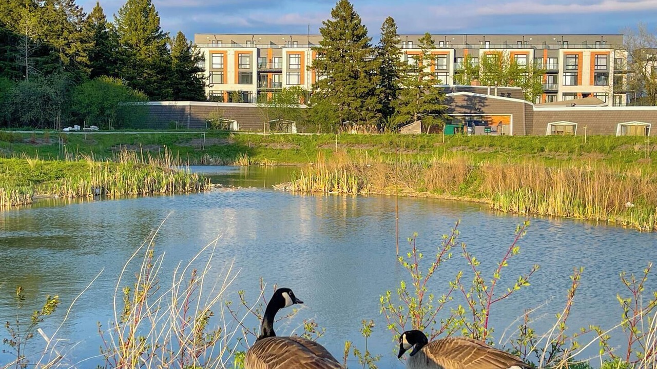 Photo of Outdoor in Richmond Hill