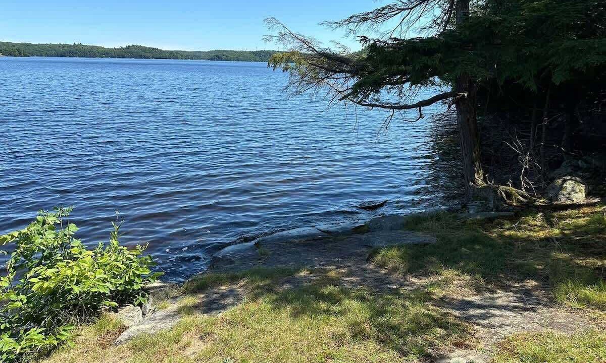 Photo of Others in Parry Sound