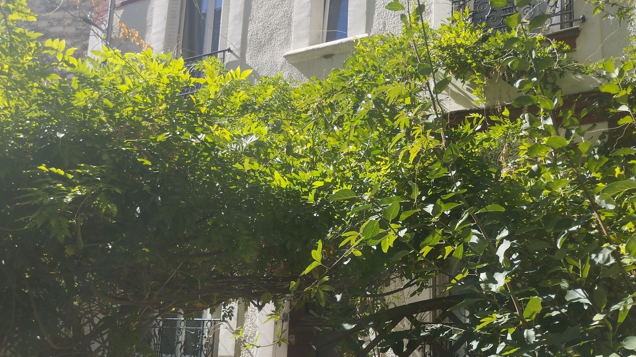 Photo of Outdoor in Saint-Ouen