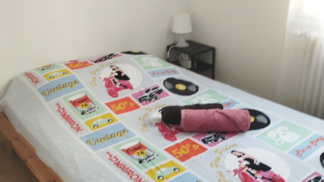 Photo of Bedroom in Saint-Ouen