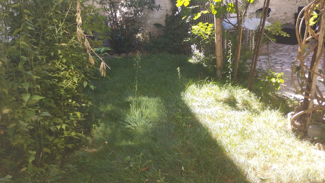 Photo of Outdoor in Saint-Ouen