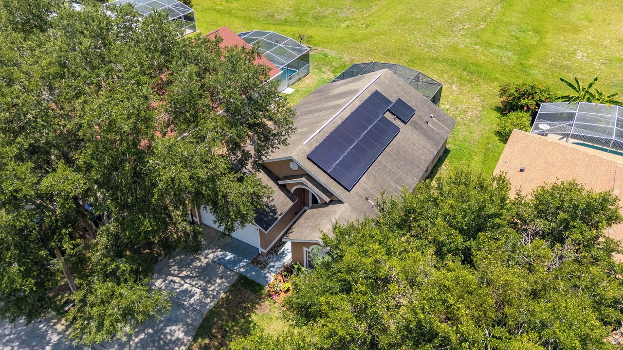 Photo of Outdoor in Florida Pines