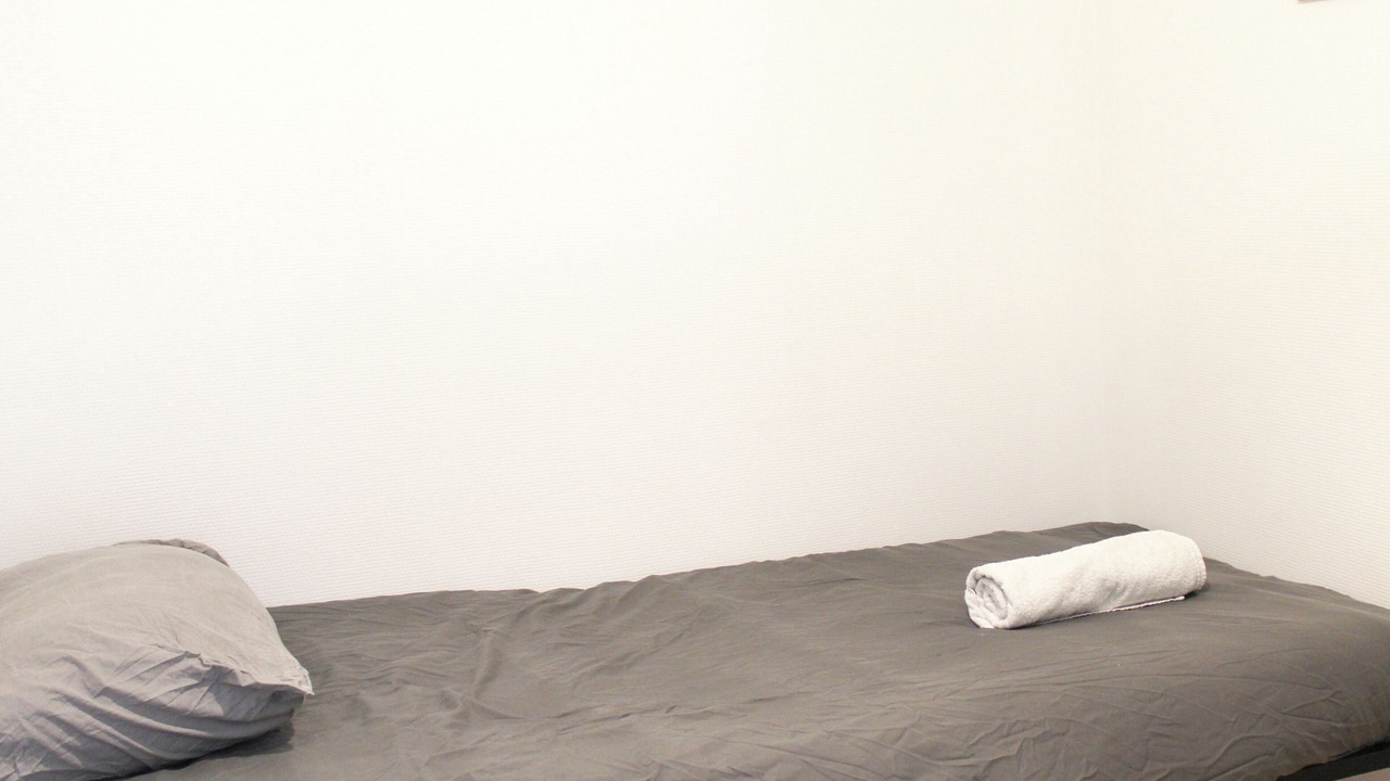 Photo of Bedroom in L'Ile-Saint-Denis