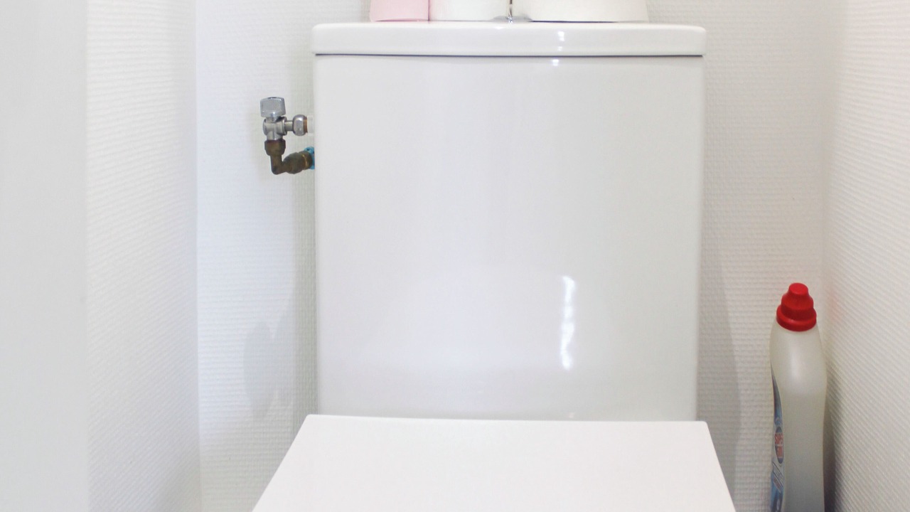 Photo of Bathroom in L'Ile-Saint-Denis