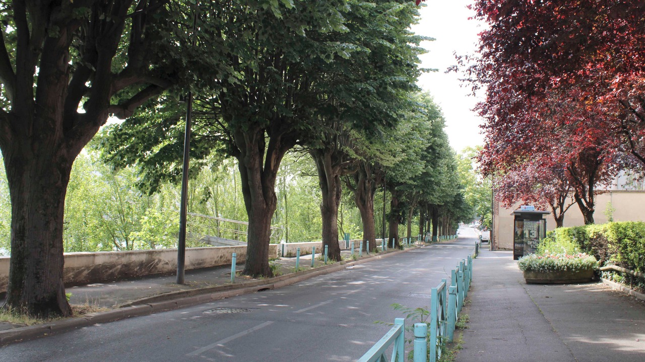 Photo of Others in L'Ile-Saint-Denis