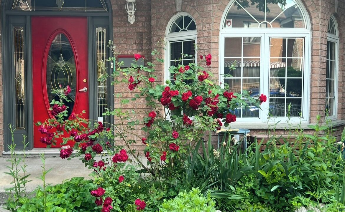 Photo of Outdoor in Trinity - Bellwoods