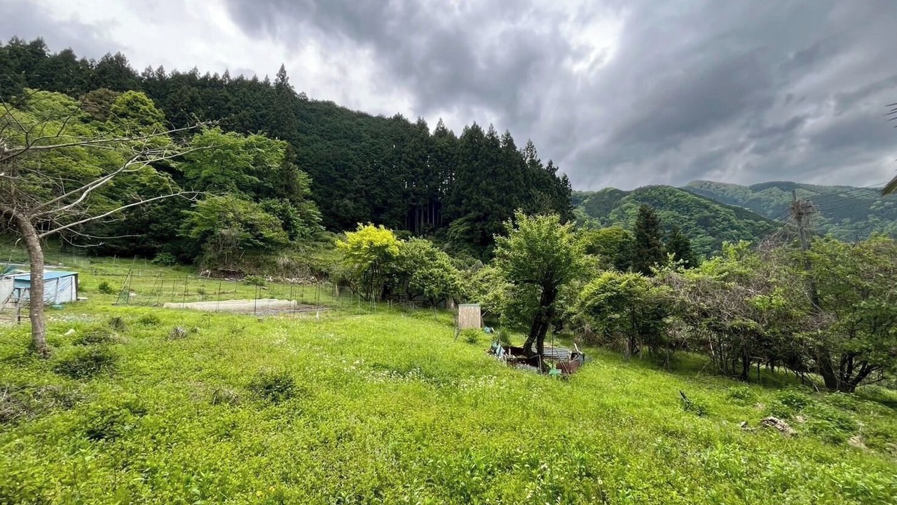 Photo of Others in Okutama
