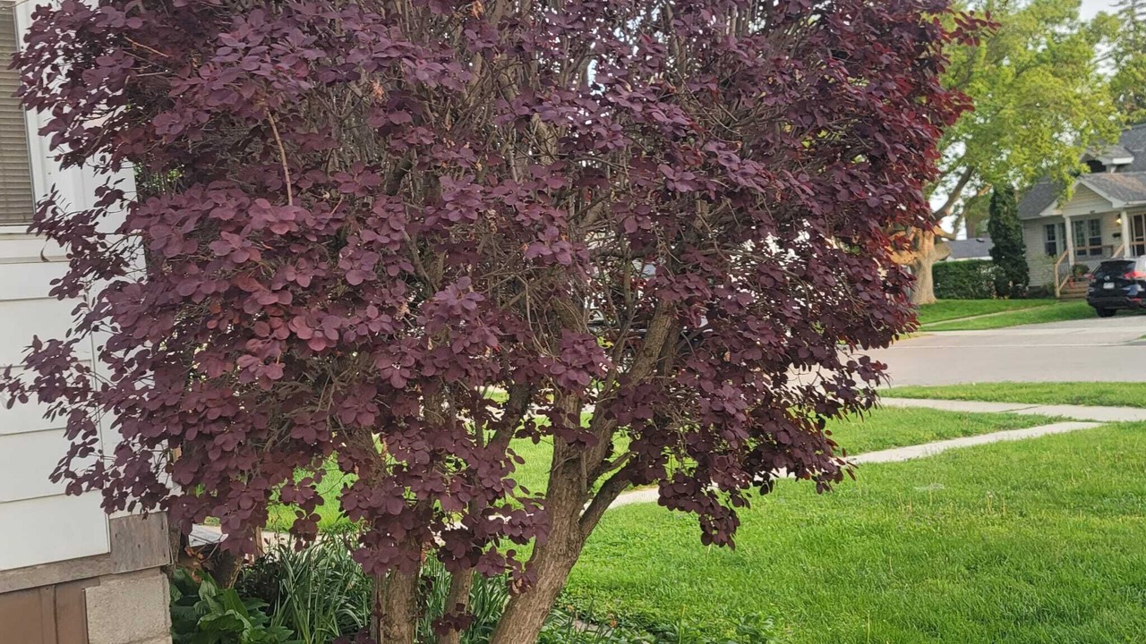 Photo of Outdoor in Chatham-Kent